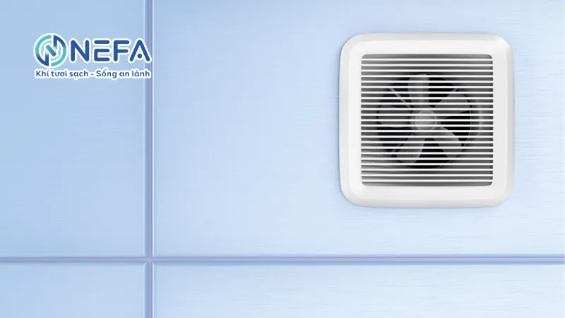 Câu hỏi thường gặp