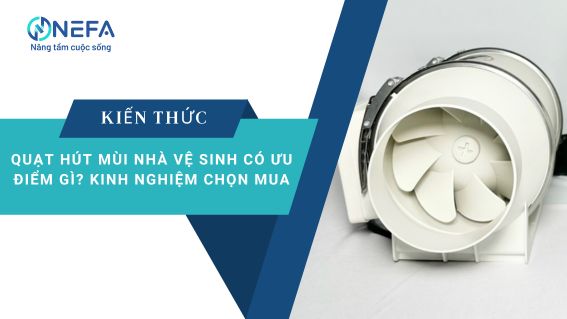 https://nefa.vn/quat-hut-mui-nha-ve-sinh/