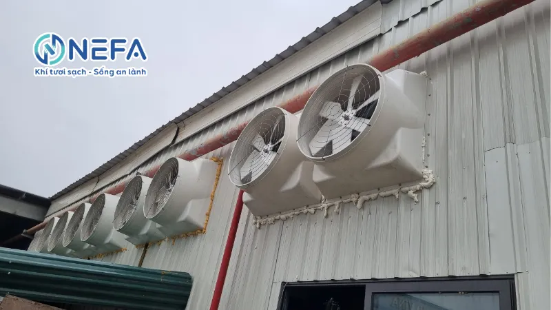 Quạt thông gió nên hút vào hay thổi ra?