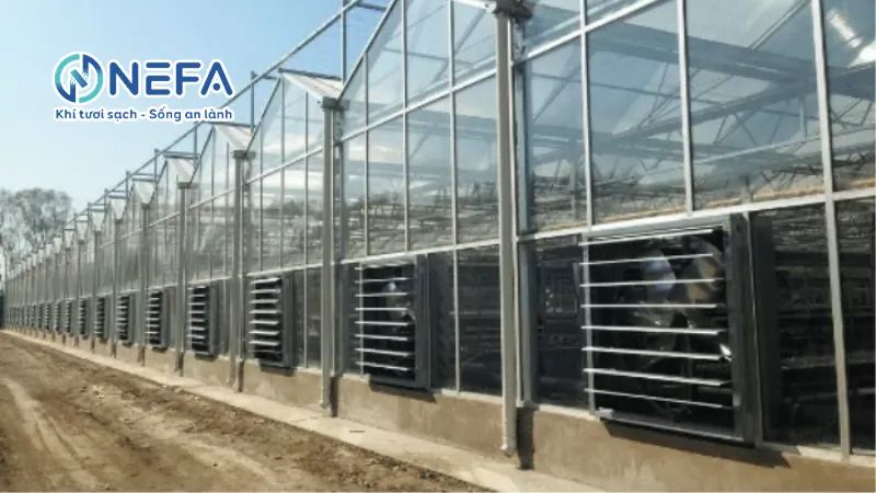 Lý do nên chọn mua quạt hút hơi nóng