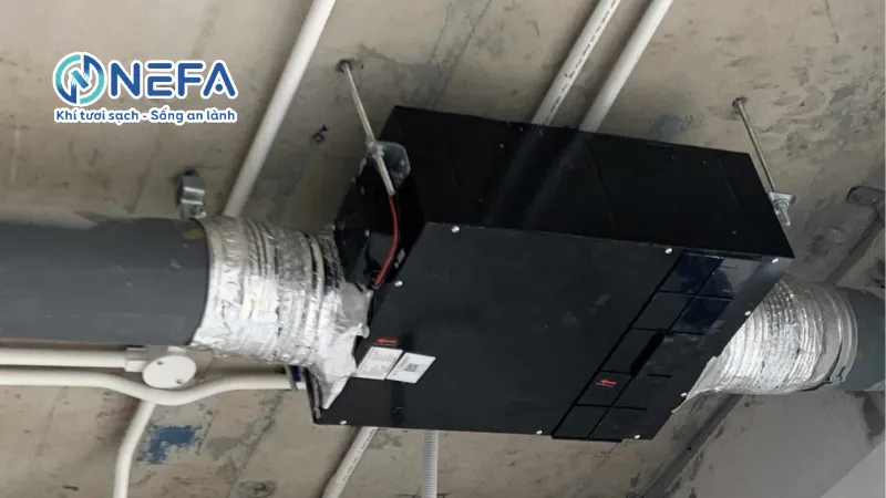 Quạt hút mùi và cấp khí tươi