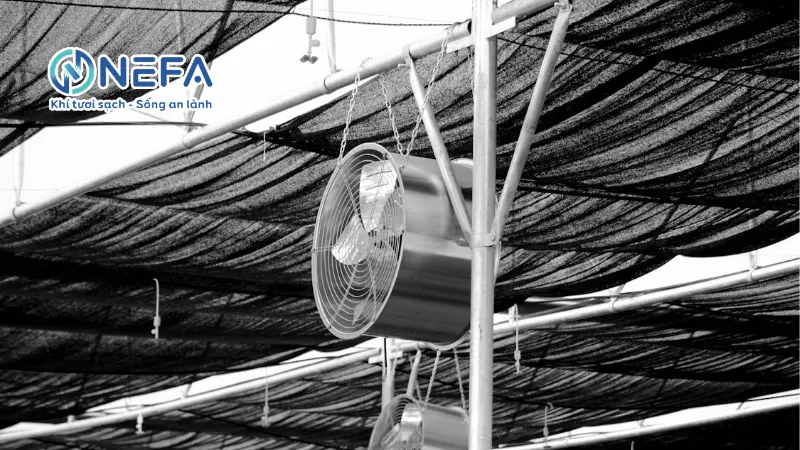 công dụng của quạt thông gió