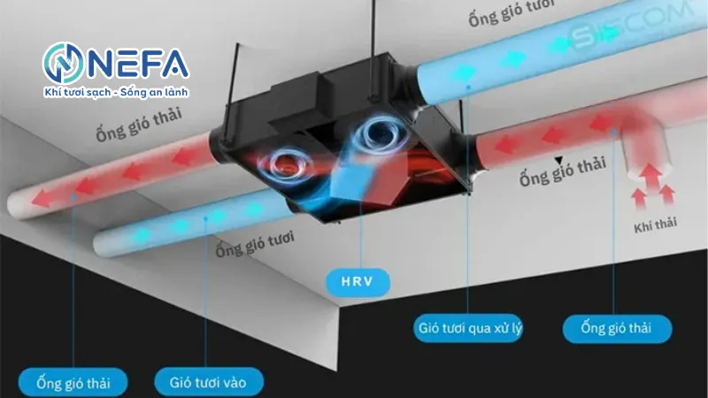 Trường hợp nên lắp máy cấp khí tươi