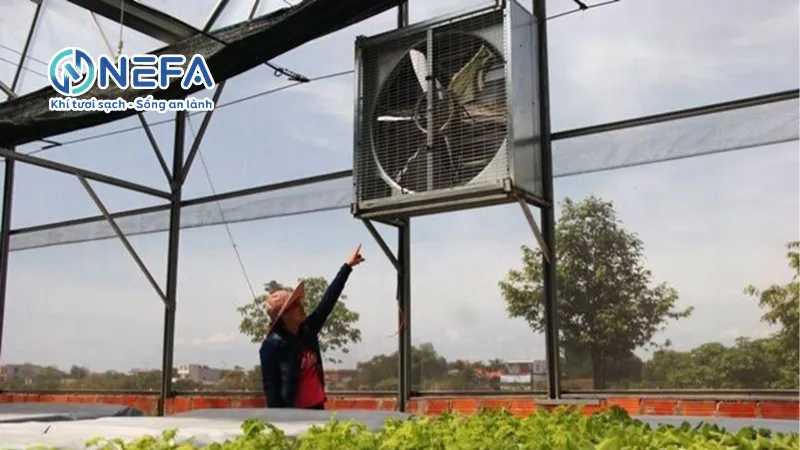 Cấu tạo quạt hút công nghiệp 500x500