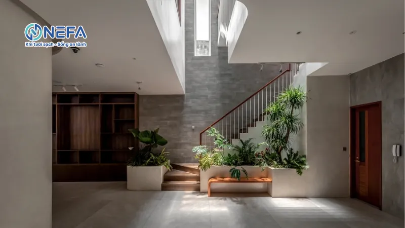 4 Cách hút gió vào nhà chuẩn Châu Âu