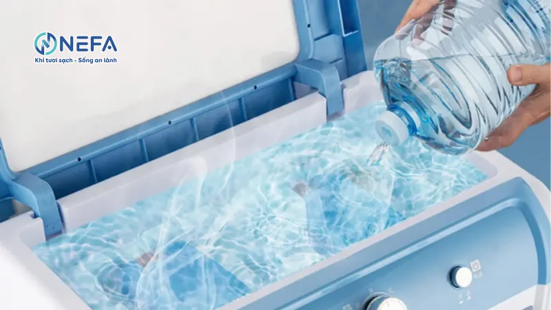 Thường xuyên châm nước cho quạt