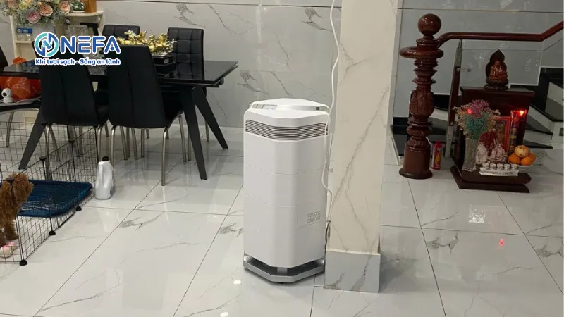 Máy lọc không khí có lọc được Formaldehyde không?