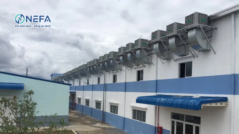 Vì sao cần lắp hệ thống làm mát cho nhà xưởng?