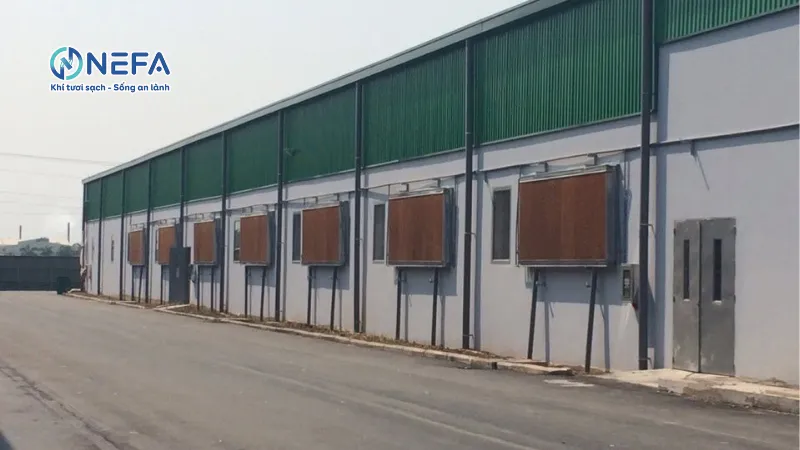 Hệ thống làm mát nhà xưởng bằng Cooling Pad