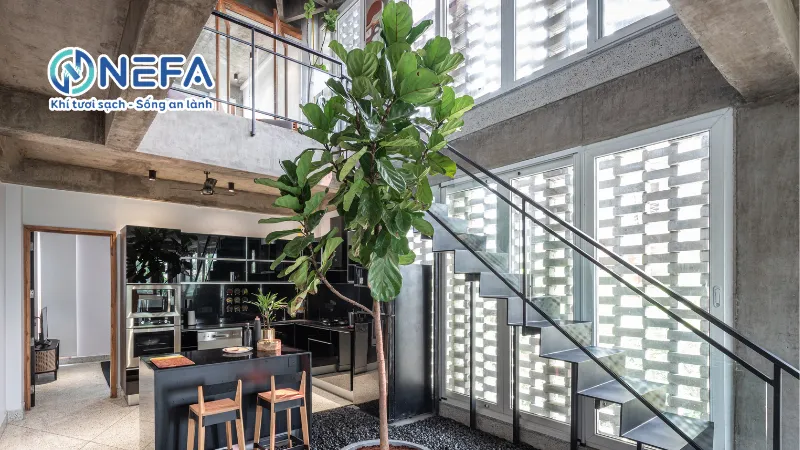 Thông gió tự nhiên