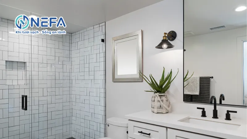 Những ảnh hưởng khi nhà vệ sinh không có quạt thông gió