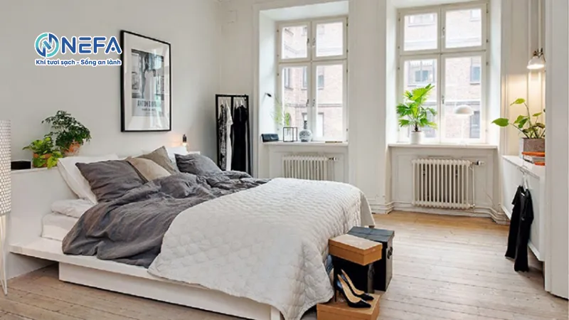 Bố trí thêm cây xanh trong phòng