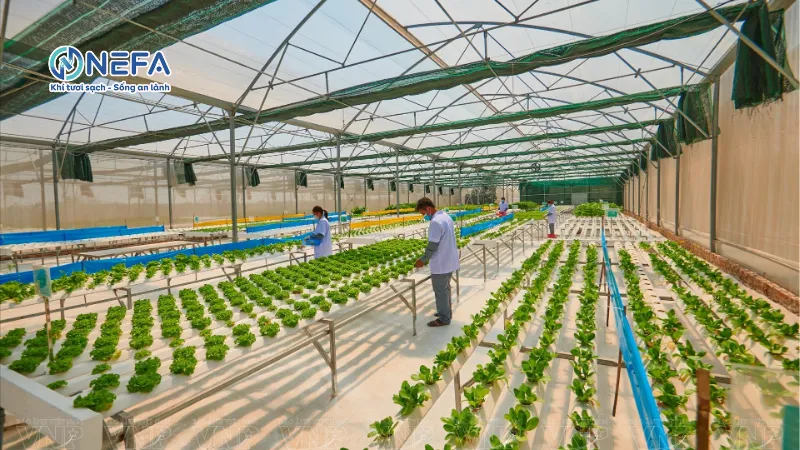 Ứng dụng trong trang trại & kho bãi