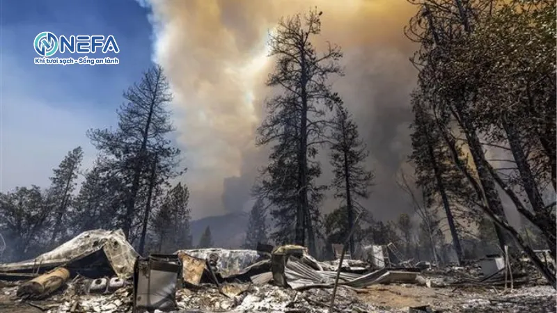 Ô nhiễm do thời tiết cực đoan và biến đổi khí hậu