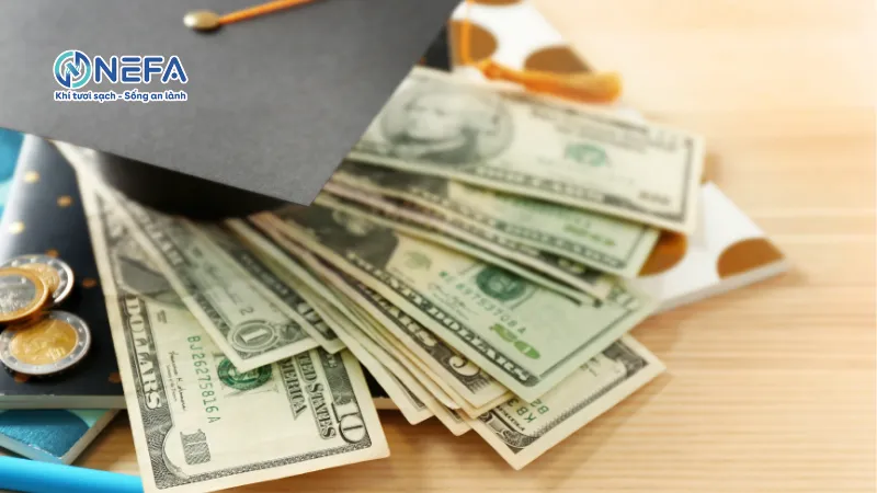 Giá thành so với nhu cầu