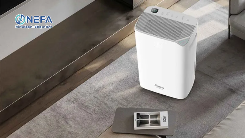 Sử dụng máy hút ẩm