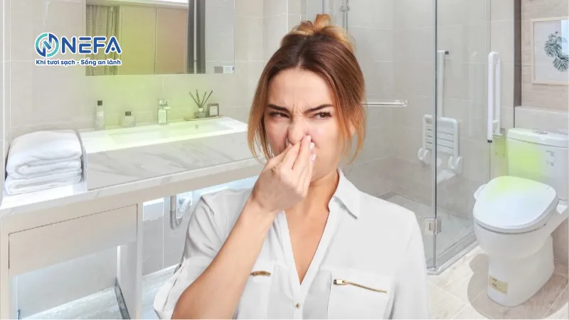 Mùi nhà vệ sinh