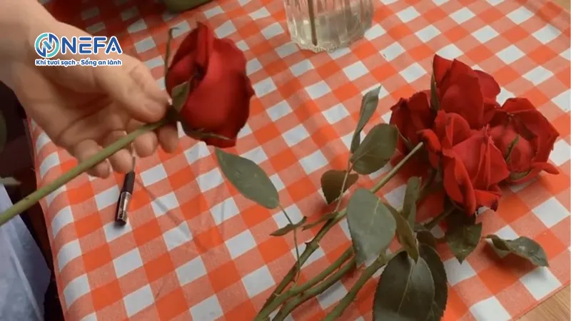 Sử dụng hoa khô