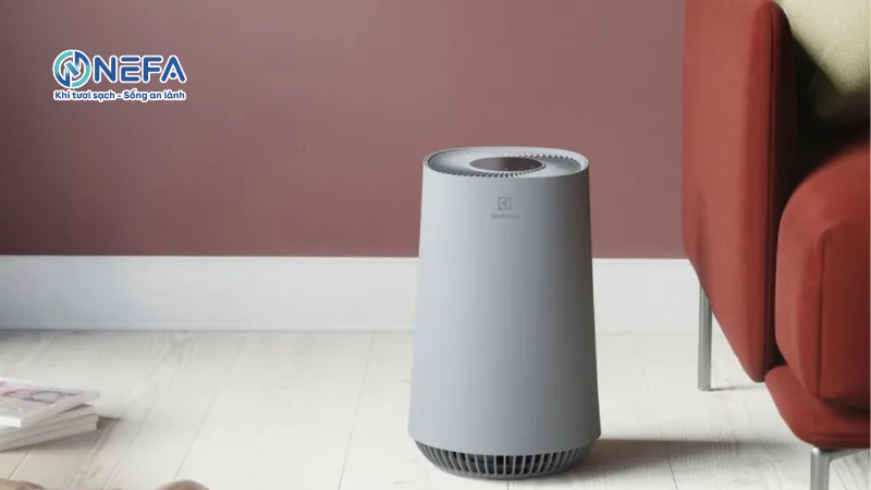 Sử dụng máy lọc không khí