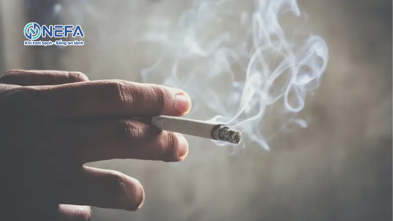 Có mùi thuốc lá