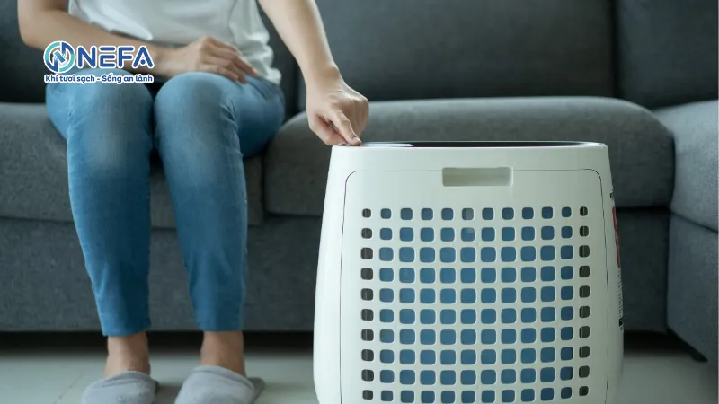 Có nên mua máy lọc không khí Nhật bãi không? Vì sao?