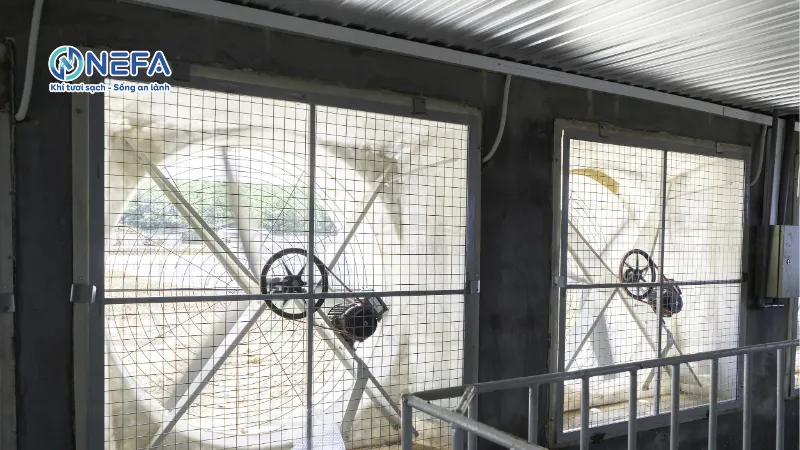 Quạt thông gió tự nhiên cho chung cư