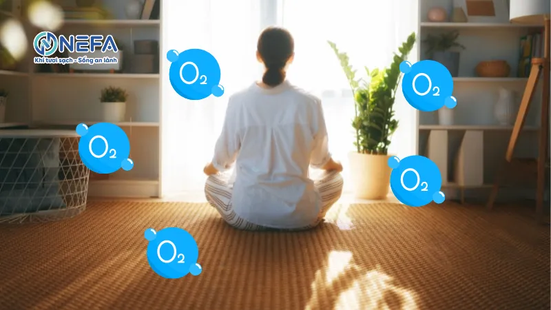 Tại sao, khí tươi lại quan trọng trong đời sống?