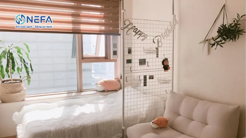 Thường xuyên mở cửa/ cửa sổ khi ở nhà