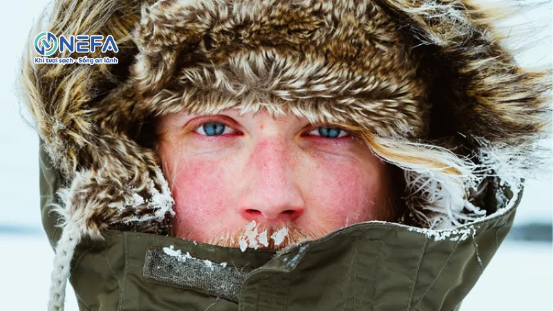 https://nefa.vn/khong-khi-kho-la-gi/