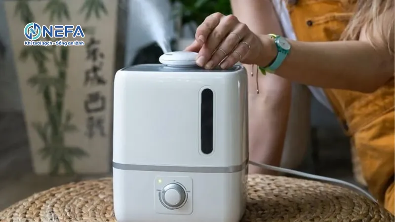 Dùng máy tạo độ ẩm