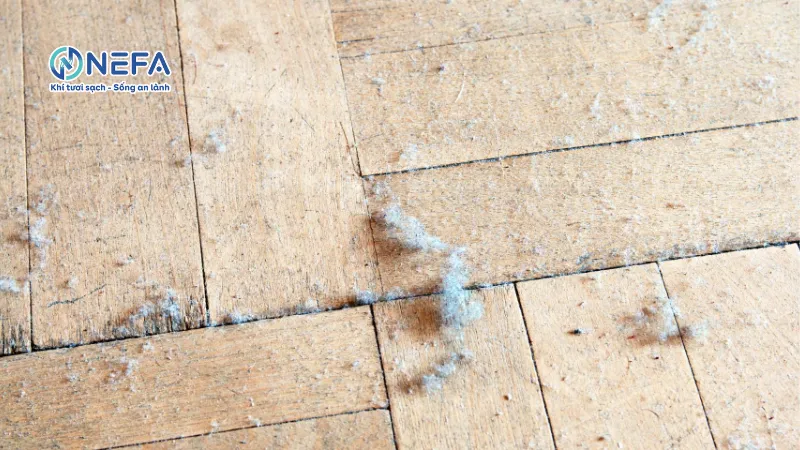 Bụi vải xuất hiện trong nhà