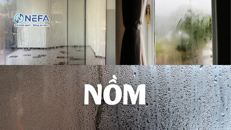 Trời nồm nên mở cửa hay đóng cửa? Bí quyết hạn chế nồm