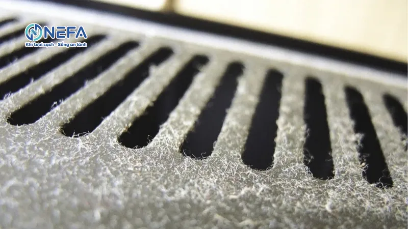 Làm sao để hết bụi vải?