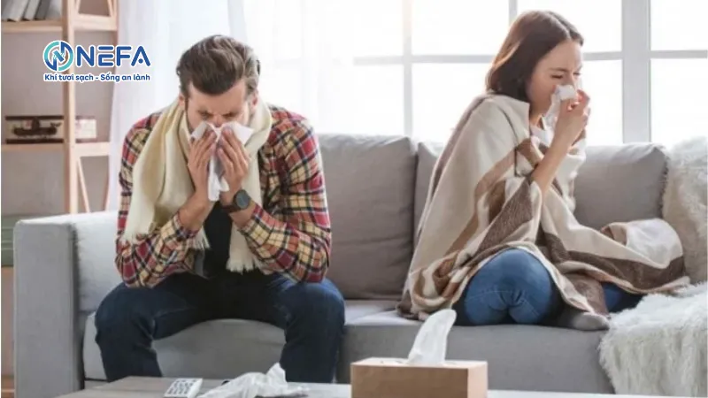 Tại sao, phòng kín vẫn có bụi?