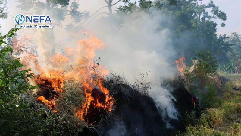 Đốt rơm rạ, rác thải và sinh khối