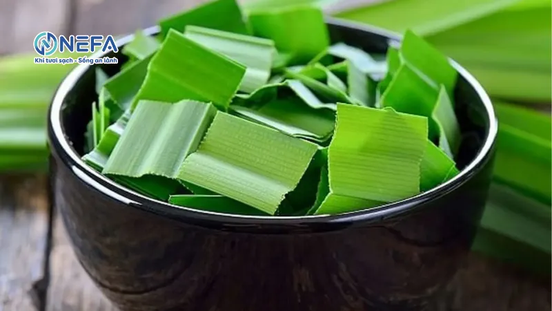 Khử mùi ẩm mốc trong phòng bằng lá dứa