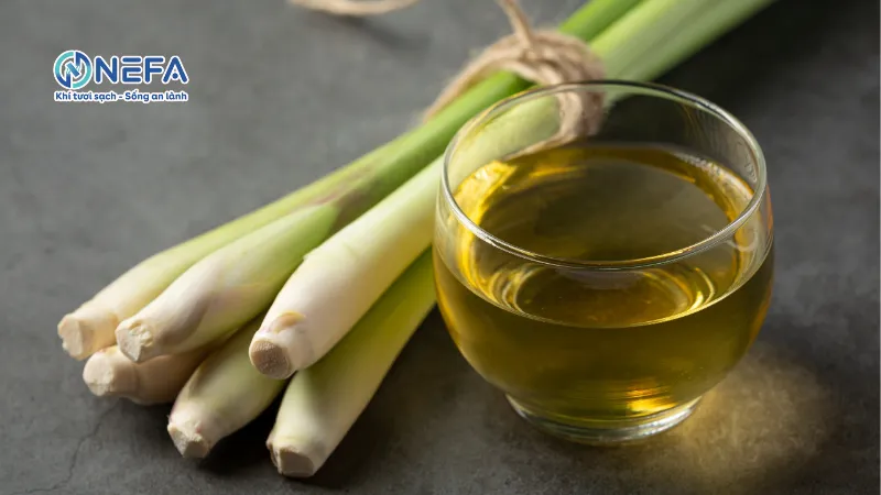 Khử mùi ẩm mốc trong phòng bằng sả