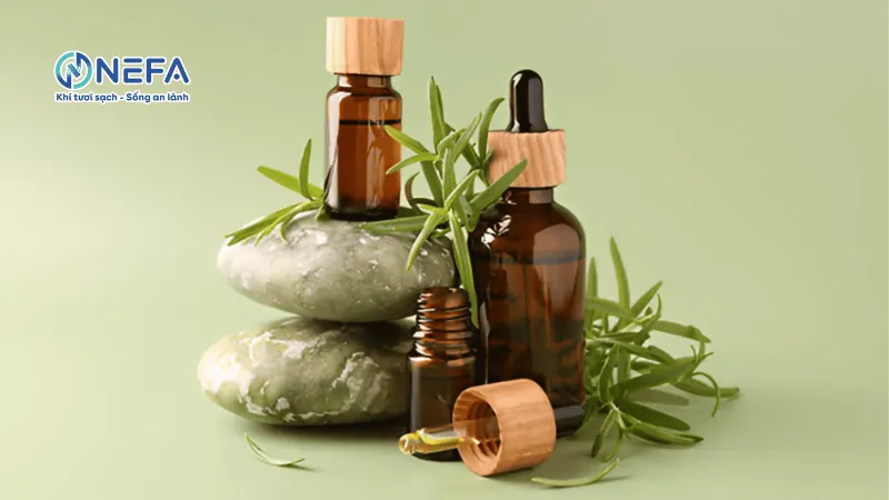 Sử dụng tinh dầu tự nhiên