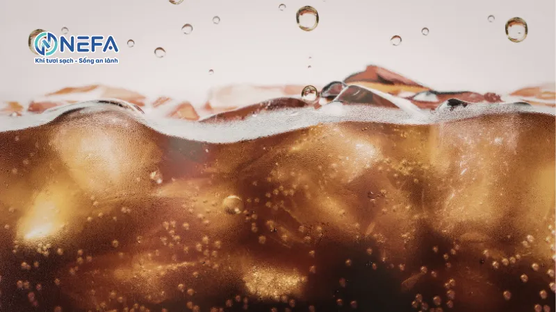 Khử mùi khai nước tiểu mèo bằng nước uống có gas