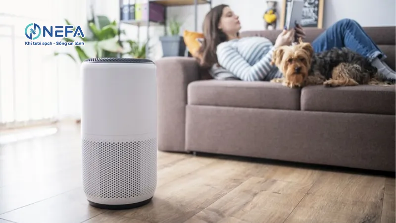 Khu vực bị ô nhiễm