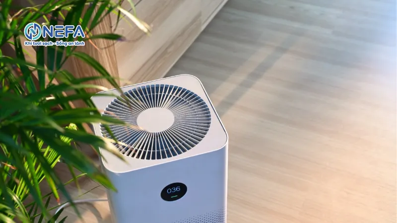 Không nên bật cả ngày