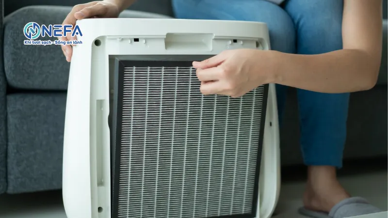 Vệ sinh thường xuyên