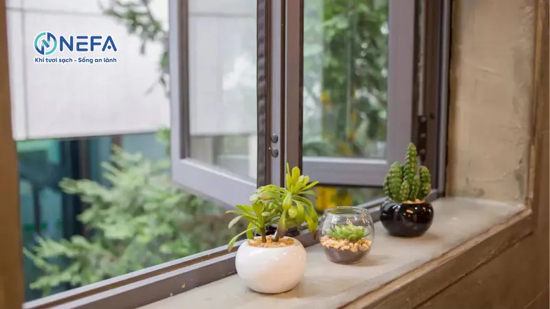 Tận dụng cửa sổ