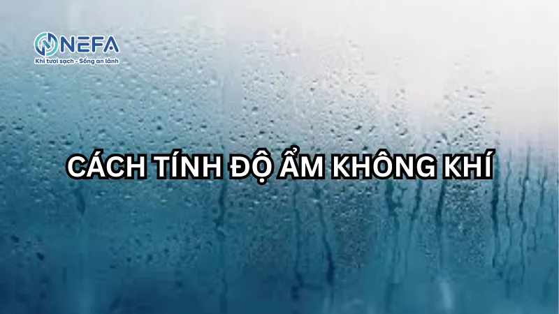 Công tính độ ẩm không khí