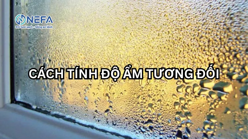 Tính độ ẩm tương đối