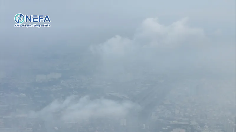 Độ ẩm không khí, sức gió và mây che phủ