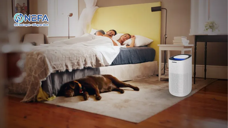 Muốn vừa lọc không khí vừa cấp khí tươi thì nên dùng máy nào?