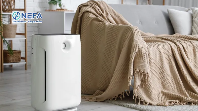 Ưu & nhược điểm của máy lọc không khí có hút ẩm