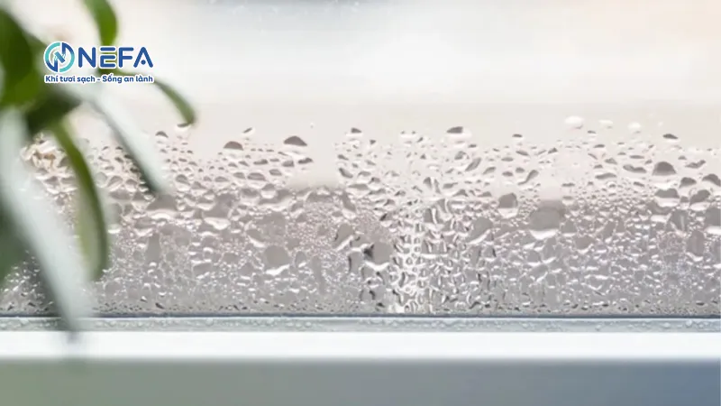 Phân loại các loại dung ẩm