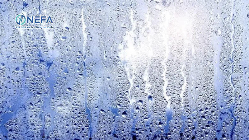 Độ ẩm 80% là gì?